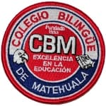 School Patches